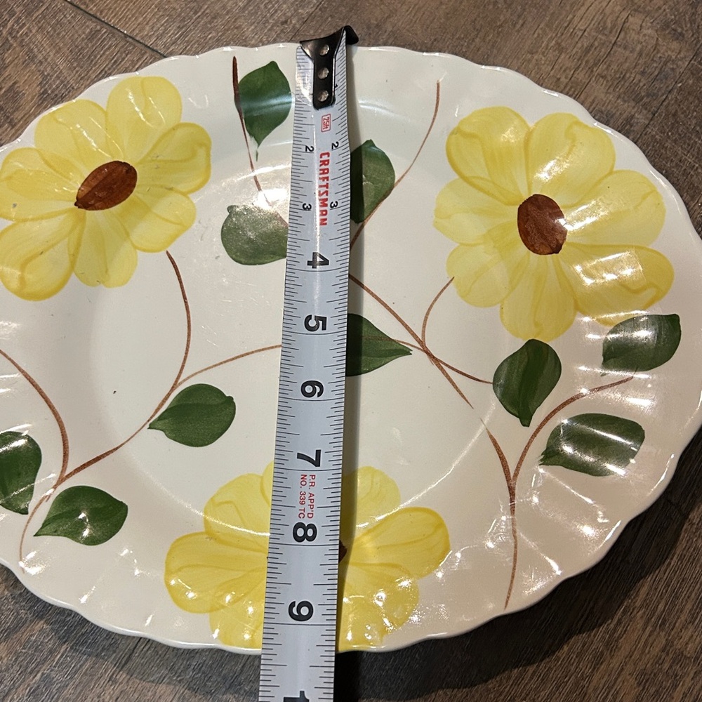Blue Ridge Southern Potteries Ridge Daisy platter and Serving Bowl Hand Painted - Picture 9 of 10